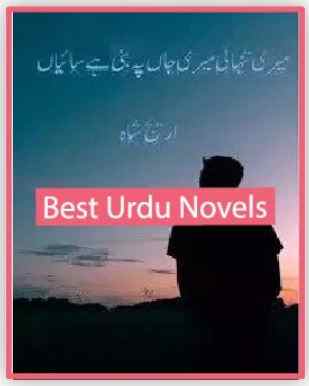 Meri Tanhai Meri Jaan Pe Bani Hai Saiyan Novel By Areej Shah