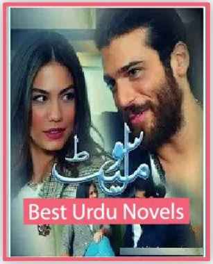 Soulmate Novel By Areej Shah