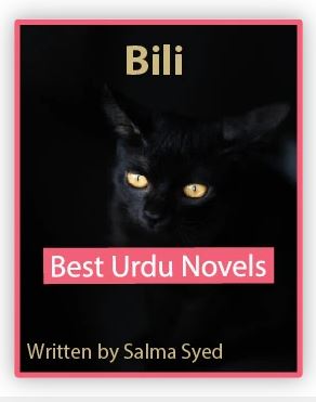 Bili Novel By Salma Syed